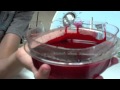 HOW TO MAKE FAKE BLOOD! - Special FX! 