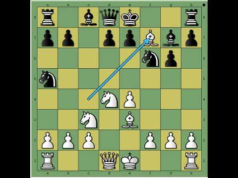 Fantastični atak na Damu 🤣🤣🤣💥💥 MISCHKE vs MIACZYNSKI #2737