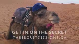 I've Got a Little Secret | The Secret Sessions - 2016