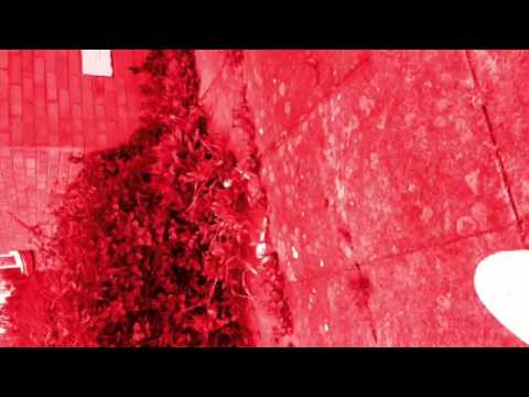 "Dibby Dibby Sound (feat. Ms. Dynamite) [Radio Edit]" Fan Video