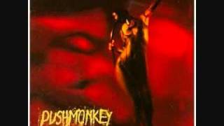 Pushmonkey - Caught My Mind