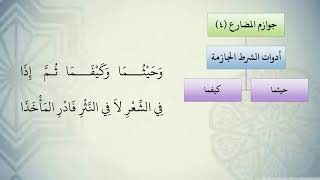 شرح نظم الآجرومية مع التشجير //47//الشيخ محمد محمود الشنقيطي image