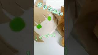 〖チロぬい〗ŧ‹”ŧ‹”( ‘ч’ )ŧ‹”ŧ‹”