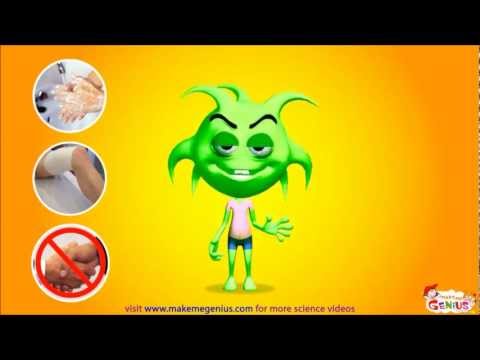 What are Germs ? - Major Types , Diseases, Infections ,Animation  Video