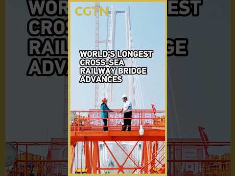 World's longest cross-sea railway bridge reaches key milestone