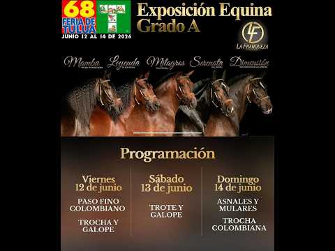 EXPOSICION EQUINA GRADO "A" TULUA 2026 - DIA 2 - TROTE Y GALOPE.