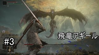 ＜エルデ冒険記＞ELDEN RING　第３話