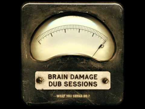 Brain Damage - Radical plan (feat.Brother Culture)