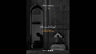 Download lagu Story wa tombo Ati || story wa sholawat merdu || story wa literasi sholawat || #part324 mp3 Download lagu Story wa tombo Ati || story wa sholawat merdu || story wa literasi sholawat || #part324 mp3