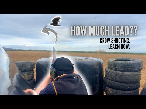 How Much Lead to Shoot a Crow?? | Learn How | Crow Shooting