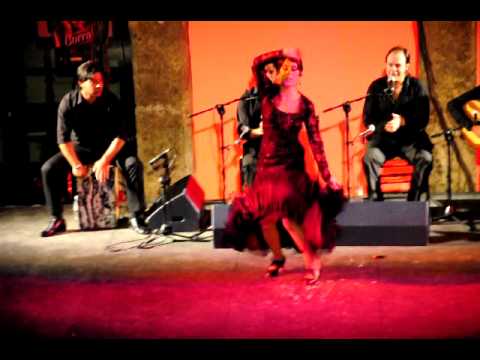 patricia guerrero corral dle carbon2