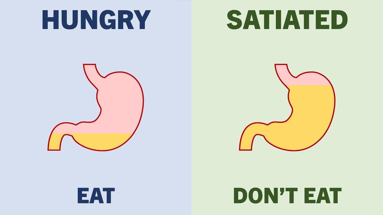 Complete Intuitive Eating Guide