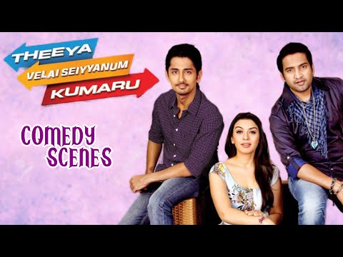 Theeya Velai Seiyyanum Kumaru (2013) | Best Comedy Scenes |  Siddharth | Hansika