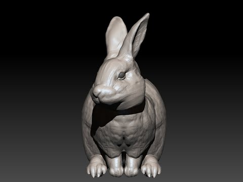 30 Minutes Zbrush Sculpting 122 Rabbit