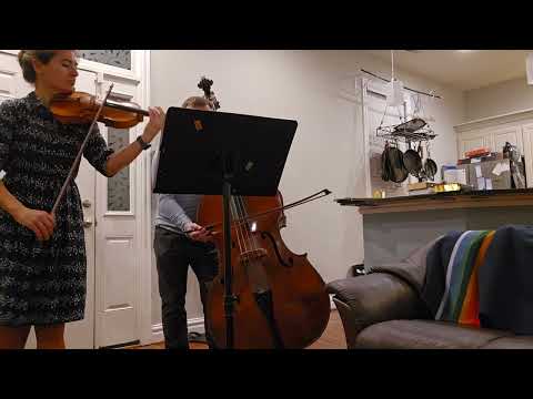Promotional video thumbnail 1 for Friends with Strings