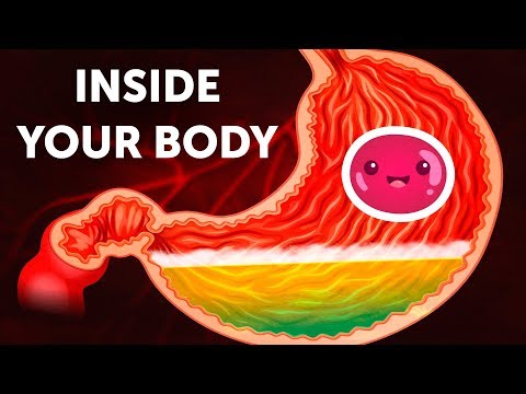 image-Can I see inside of a body?