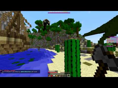 Minecraft  Hunger Games w Mitch! Game TOP