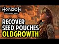 The Oldgrowth: Follow Tracks & Recover Utaru Hunters’ Seed Pouches | Horizon Forbidden West