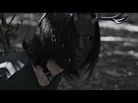 Ivan King - "My Own Summer (Shove It)" [OFFICIAL VIDEO]