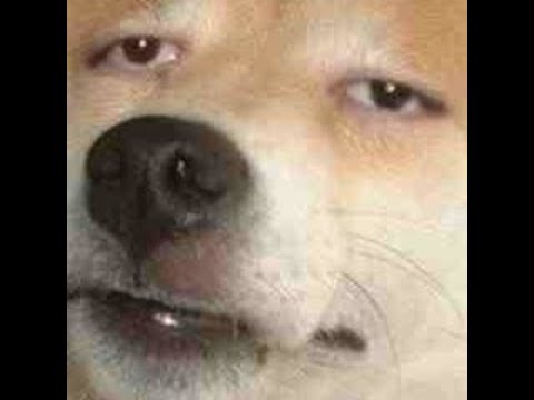 j0000mla trys his best