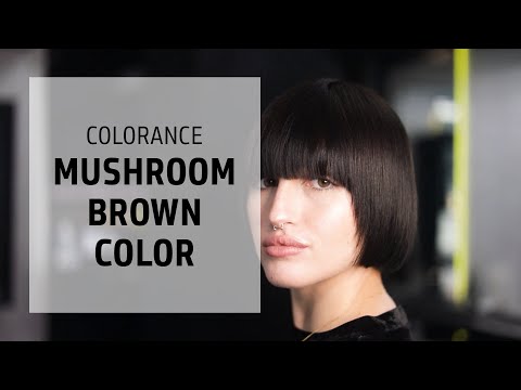 Deep Mushroom Brown Hair Coloring Technique | Colorance | Goldwell Education Plus