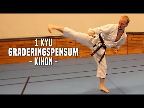 1.Kyu - Kihon
