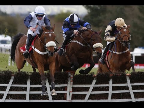 One Track Mind - 2016 Punchestown Champion Stayers Hurdle- Build Up, Race and Reaction