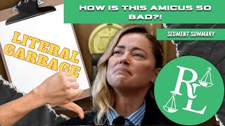Lawyer Explains TRASH Amicus brief in Support of Amber Heard.