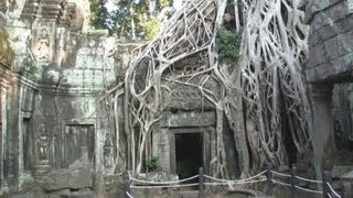 preview picture of video 'Ta Prohm, Siem Reap, Cambodia / Kambodża'