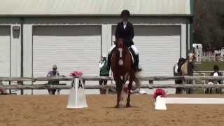 preview picture of video 'Carla Kenyon & Artful Aramis at Texas Rose Horse Park March 2014'