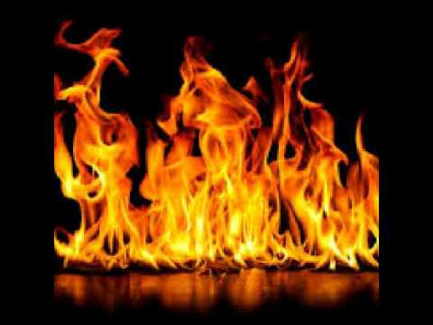 New! 2017 Tgr Money × Tgr Brolly × Tgr Tdot × 300 T-Ro Freestyle