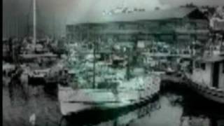 Al  Stewart - Life In Dark Water