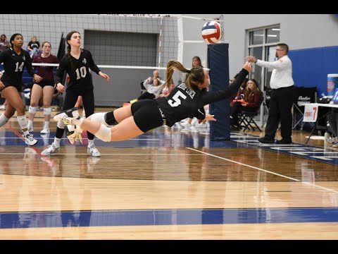 Delaney Moon #5 -  BL Highlights 11 16 22