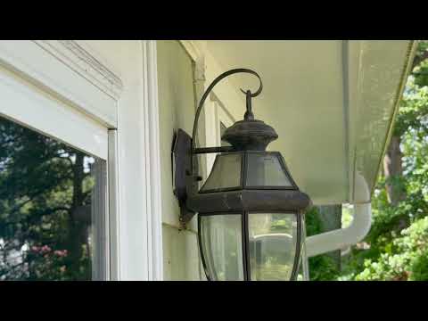 Yellow Jackets Like the Light Fixture in Manalapan, NJ