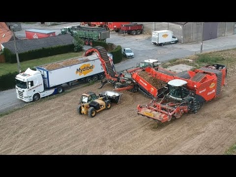 Dewulf Kwatro & Dewulf Field Loader 240