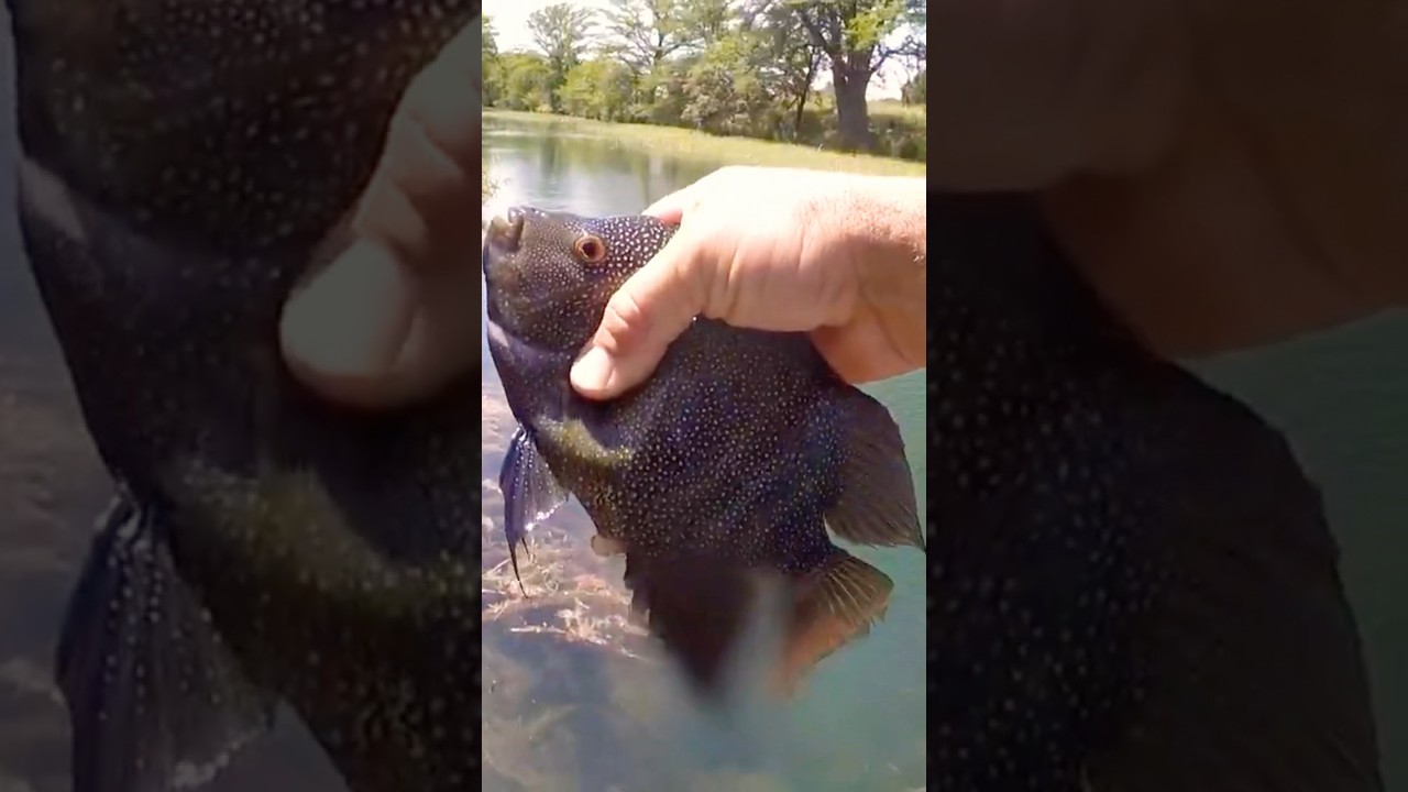 😳These R Rare! 😮