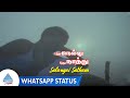 Pudhu Nellu Pudhu Naathu Movie Songs Salangai Satham Video Whatsapp Status Sukanya Ilaiyaraaja