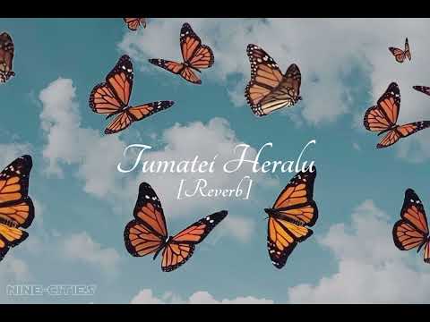 Anurag saikia Tanmoy Saikia : Tumatei Heralu [REVERB]