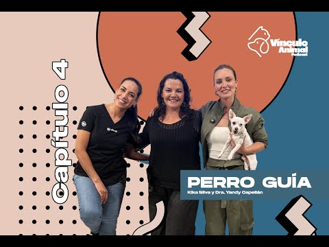 Capitulo 4 - Perro Guía
