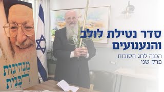 סדר נטילת הלולב והנענועים | הרב שמואל אליהו | הכנה לחג הסוכות  (הרב שמואל אליהו) - התמונה מוצגת ישירות מתוך אתר האינטרנט יוטיוב. זכויות היוצרים בתמונה שייכות ליוצרה. קישור קרדיט למקור התוכן נמצא בתוך דף הסרטון