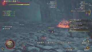 復帰久々ワイルズ　マジオス周回？