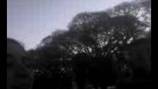 Intento de video para motel by abriendo paso