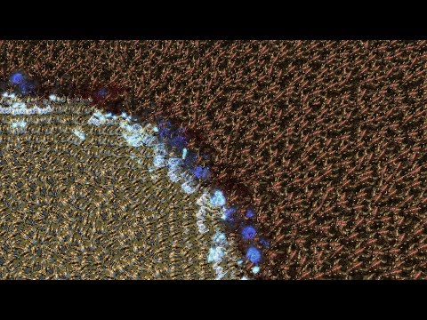 1000 IMMORTALS vs 2000 ULTRALISKS - StarCraft 2 MASSIVE Battle