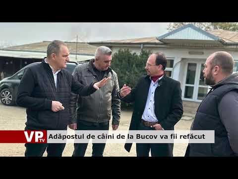 Adăpostul de câini de la Bucov va fii refăcut