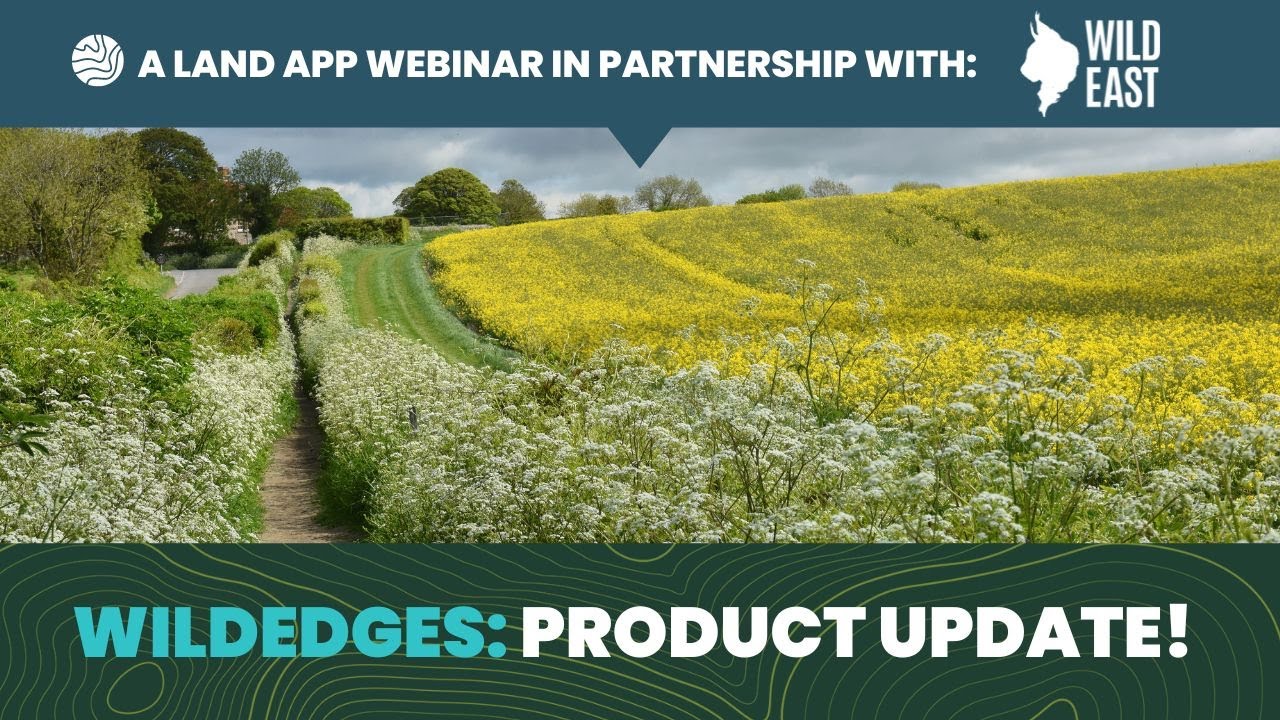 WildEdges  Product Update