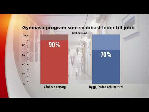 Så får du snabbt jobb direkt efter gymnasiet - Nyheterna (TV4)