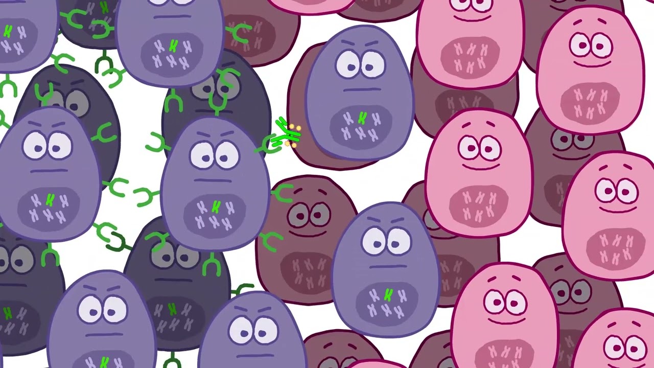 Understanding Antibody Drug Conjugates