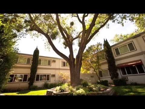 Welcome to Academy Lane Apartments