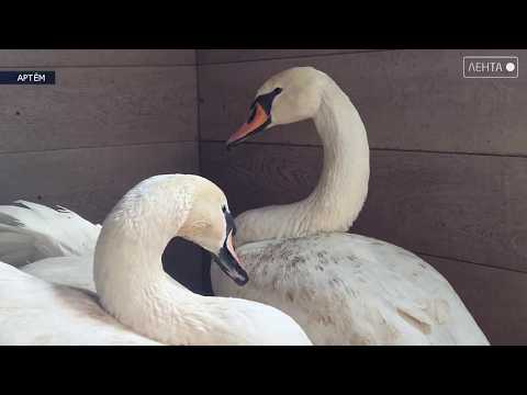 Когда погода становится теплее, а ночи короче природа просыпается