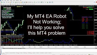 My MT4 EA Robot Not Working, I’ll help you solve this MT4 problem